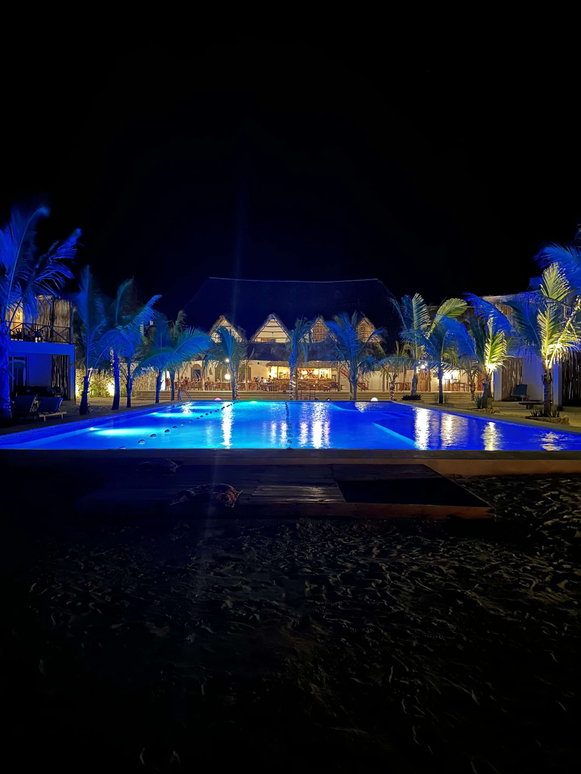 Restaurant ant night